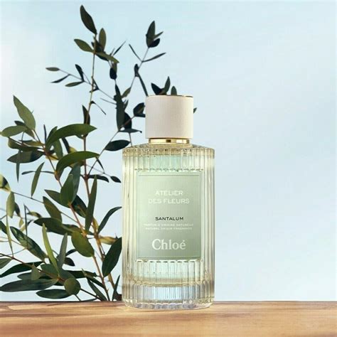 chloe parfum santalum|Santalum Chloé perfume .